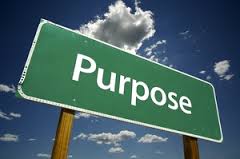 What is your purpose?